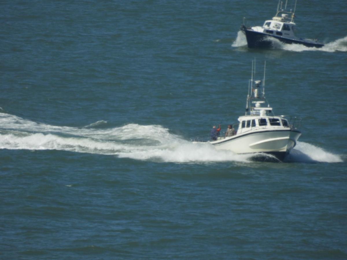 Seacityview Oostende ภายนอก รูปภาพ