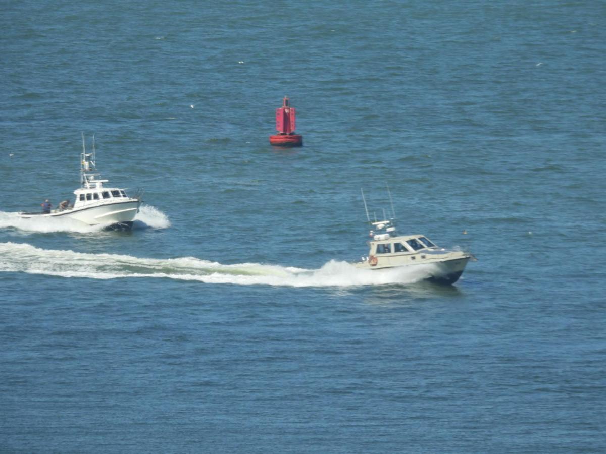 Seacityview Oostende ภายนอก รูปภาพ